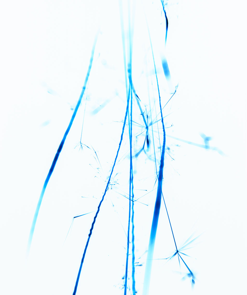 photo: carsten nicolai funken (series of 13)
