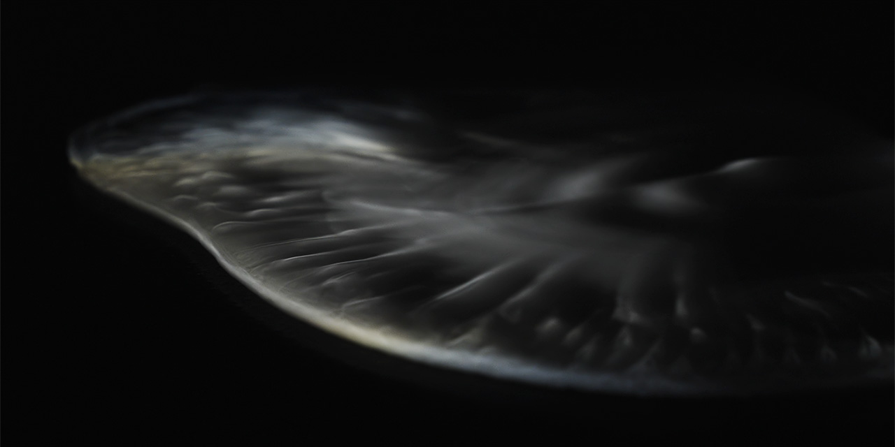 photo: studio carsten nicolai PHOSPHENES