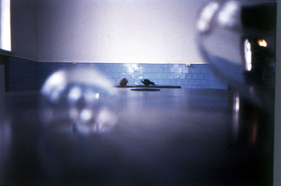 photo: carsten nicolai mikro makro