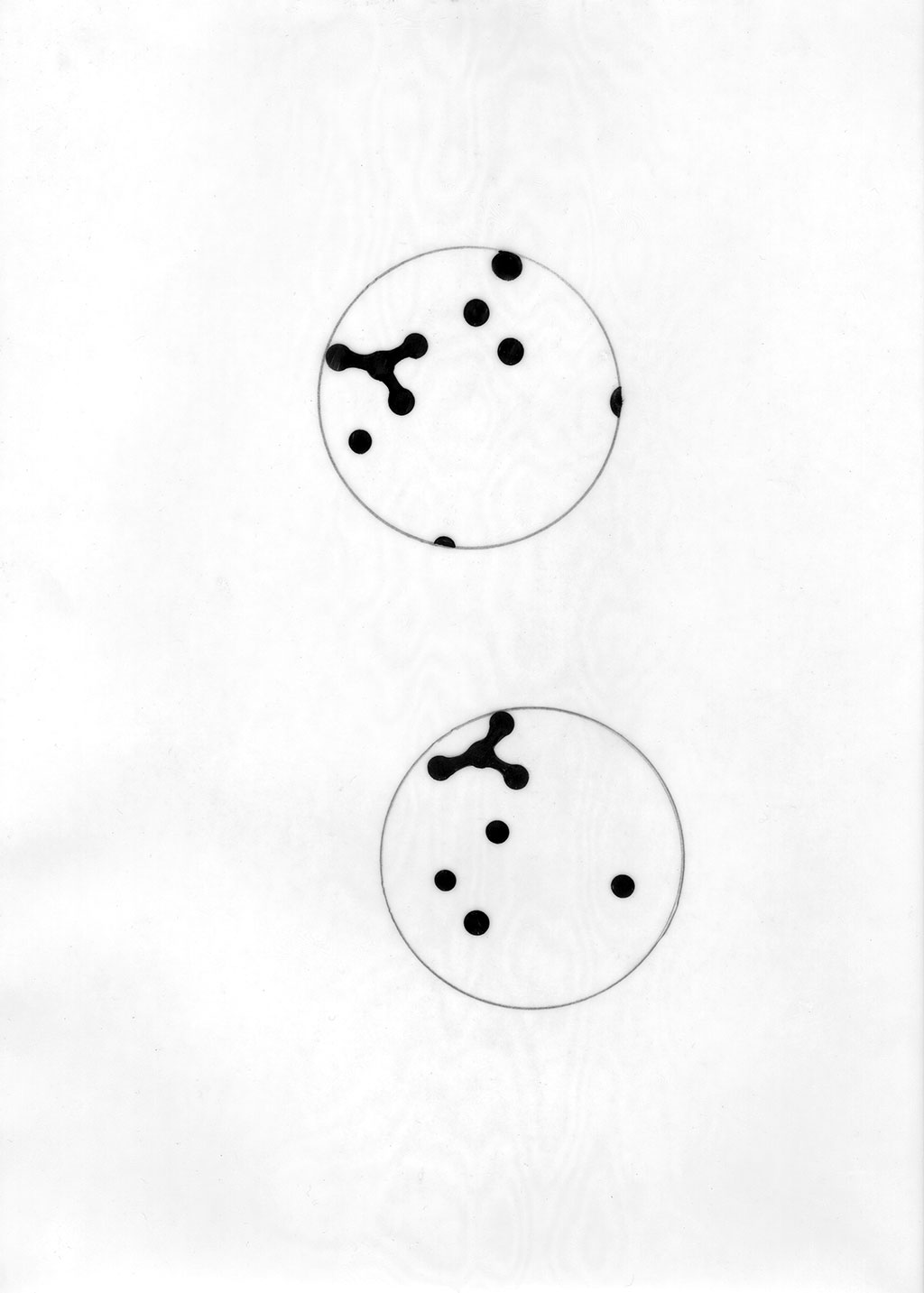 photo: carsten nicolai random.logo.dot